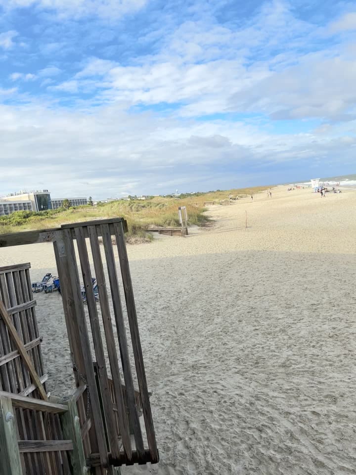 Video review of Tybee Time