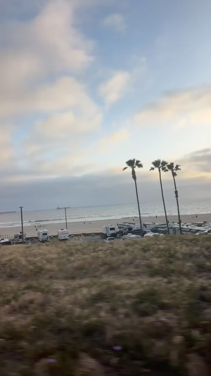 Verve Coffee Roasters