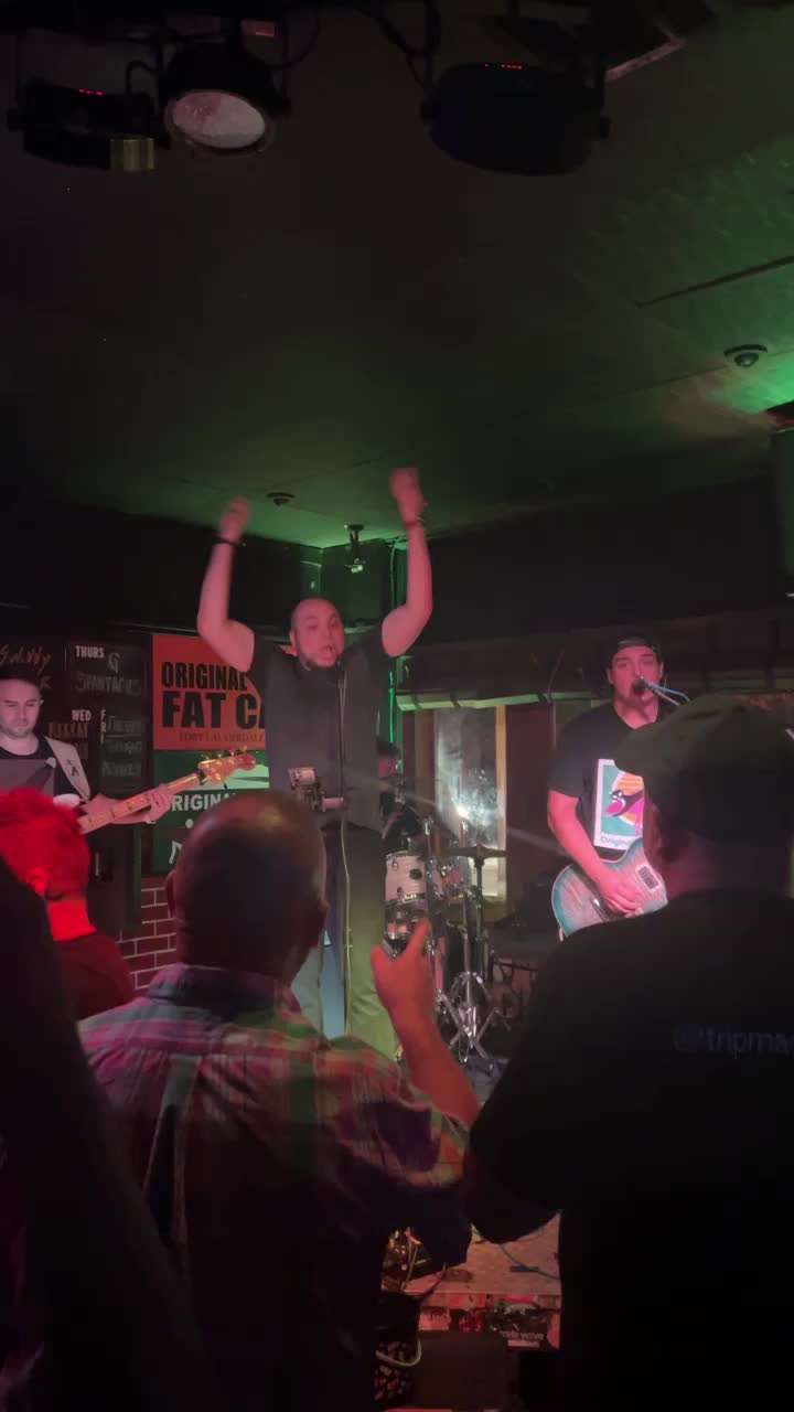 Video review of Original Fat Cats