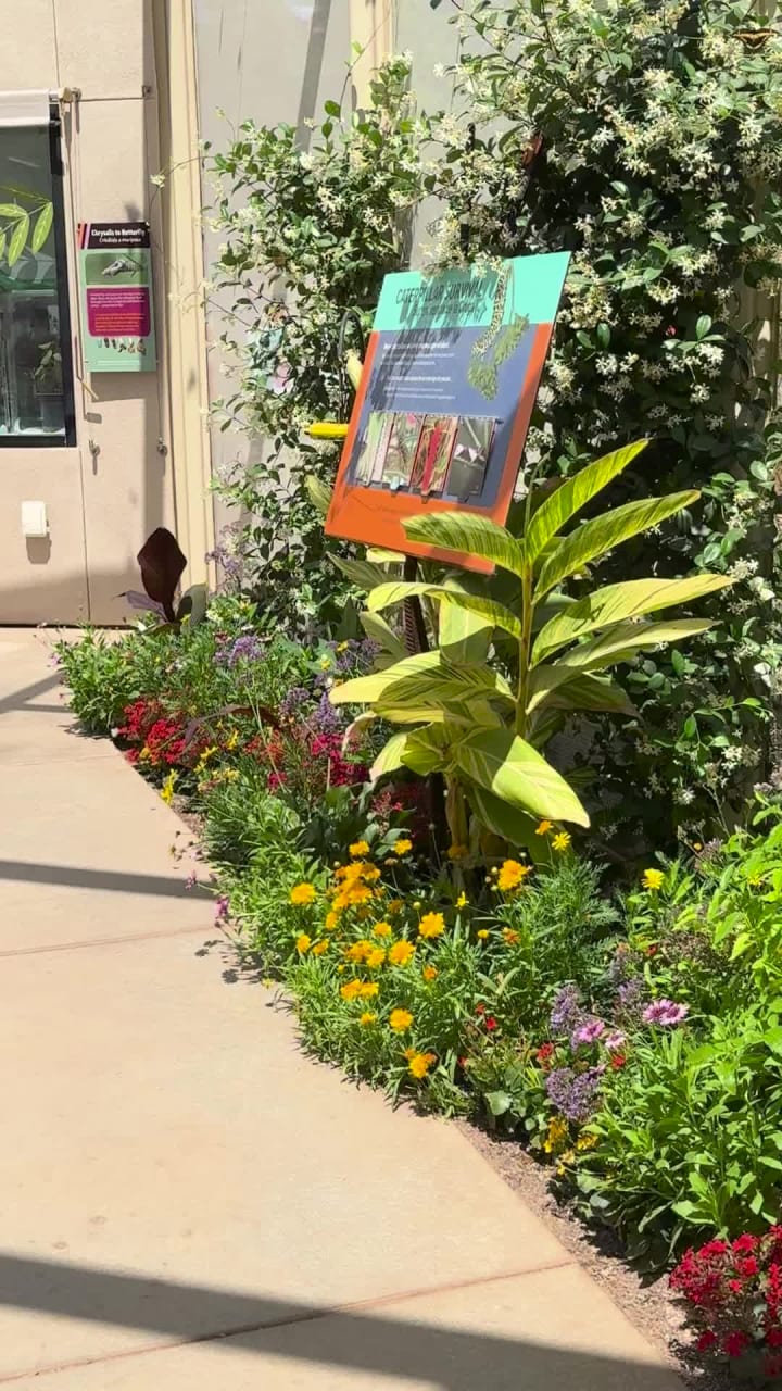 Desert Botanical Garden