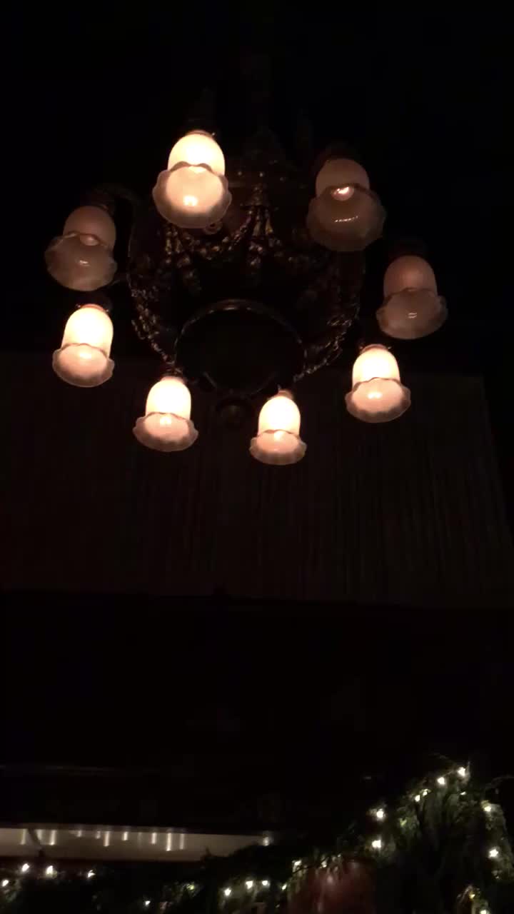 Video review of House of Shields