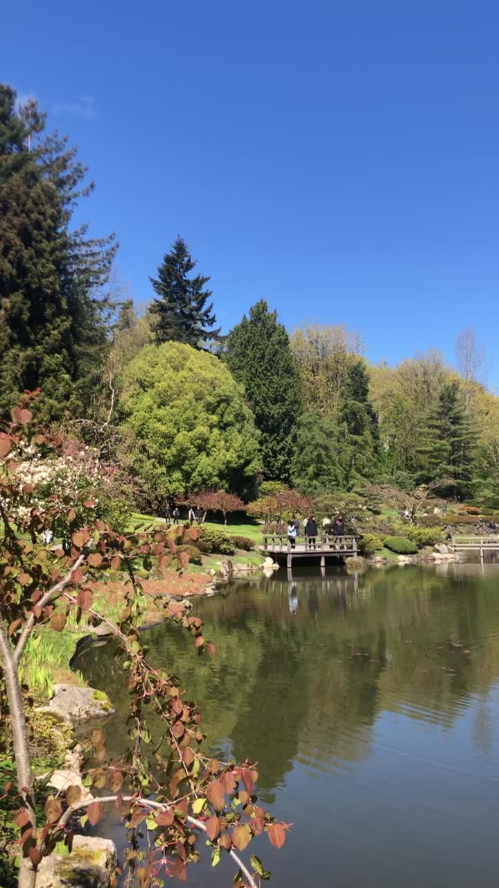 Video review of Seattle Japanese Garden