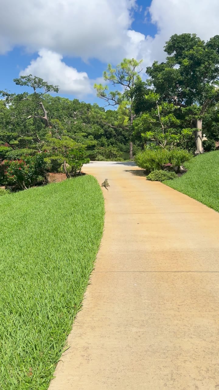 Morikami Museum and Japanese Gardens