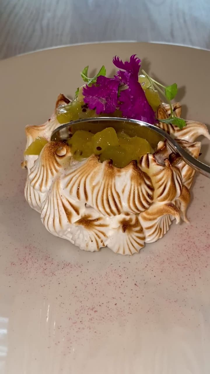 Video review of Public Dining Room