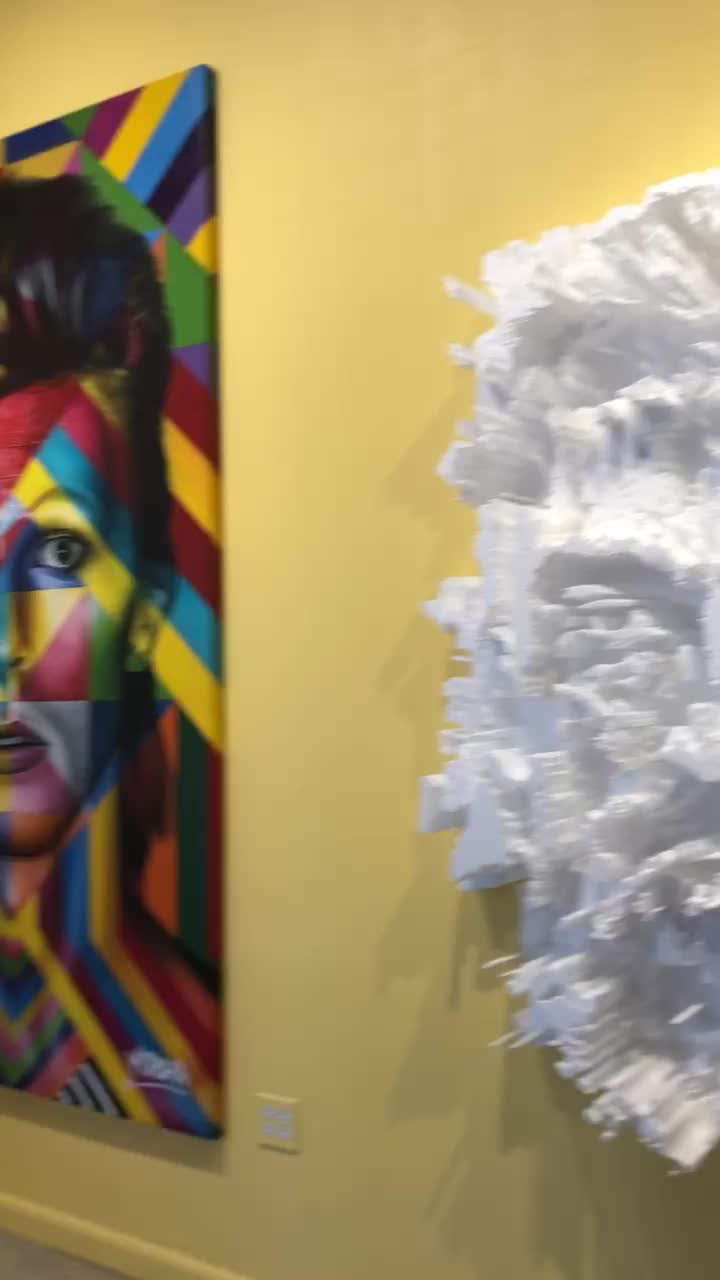 Video review of Wynwood Art Walk