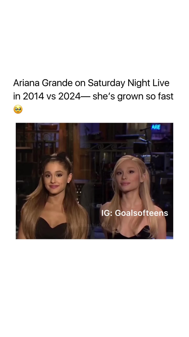 Pussy & Pooch Pethouse and Pawbar