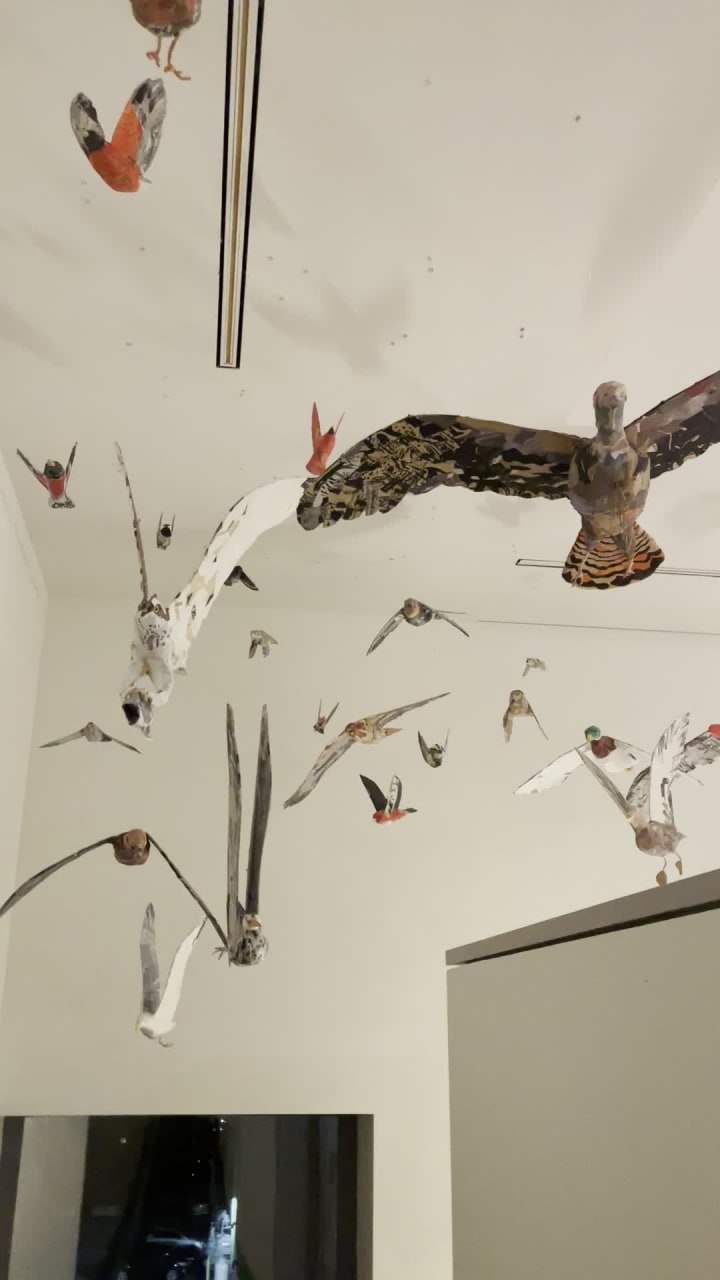 Video review of Portland Museum of Art