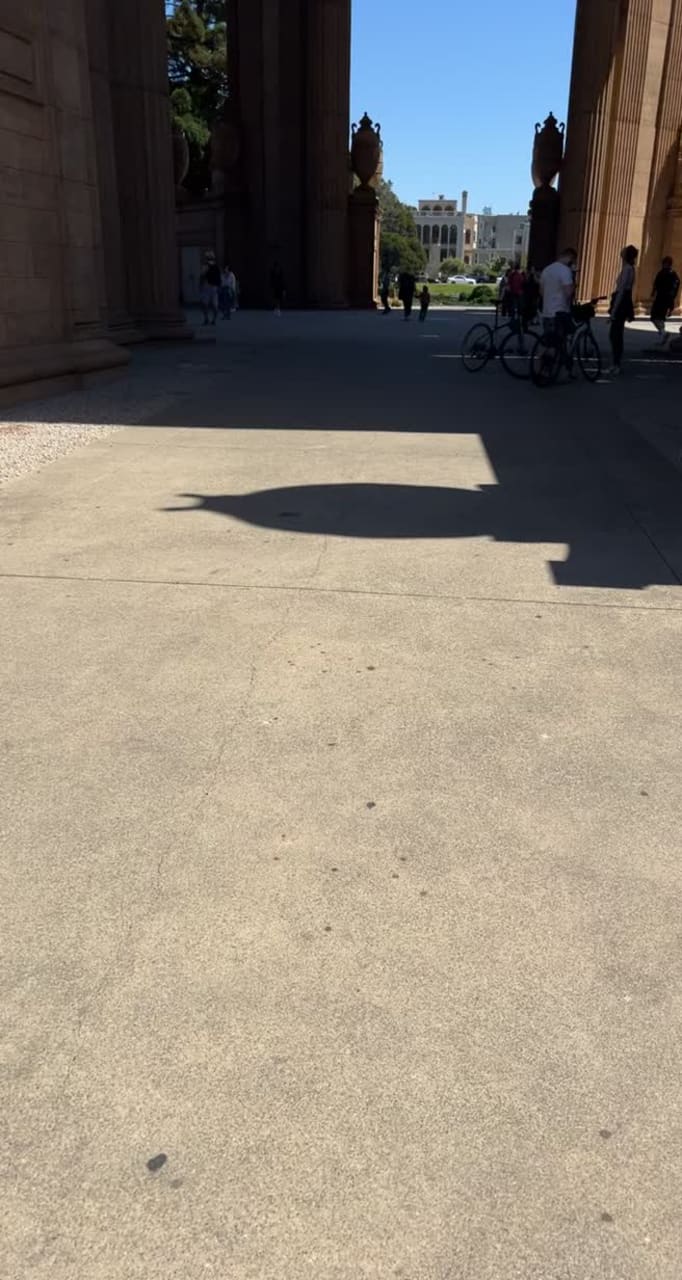 Video review of Palace of Fine Arts