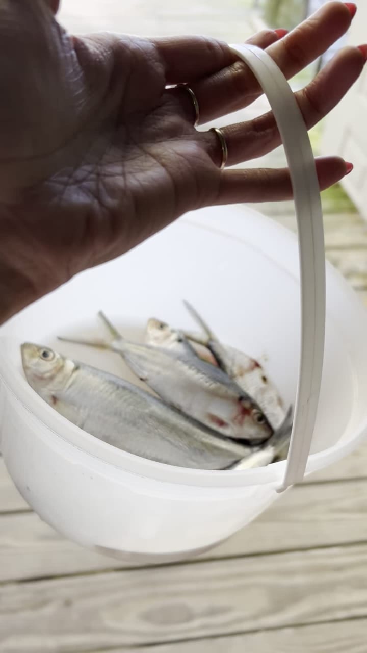 Video review of Robbie's of Islamorada