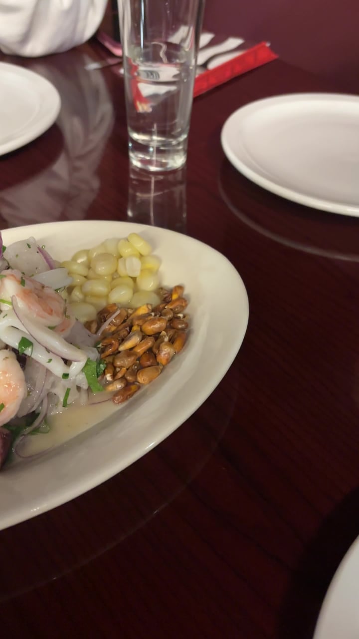 Video review of Señor Carbón Peruvian Cuisine