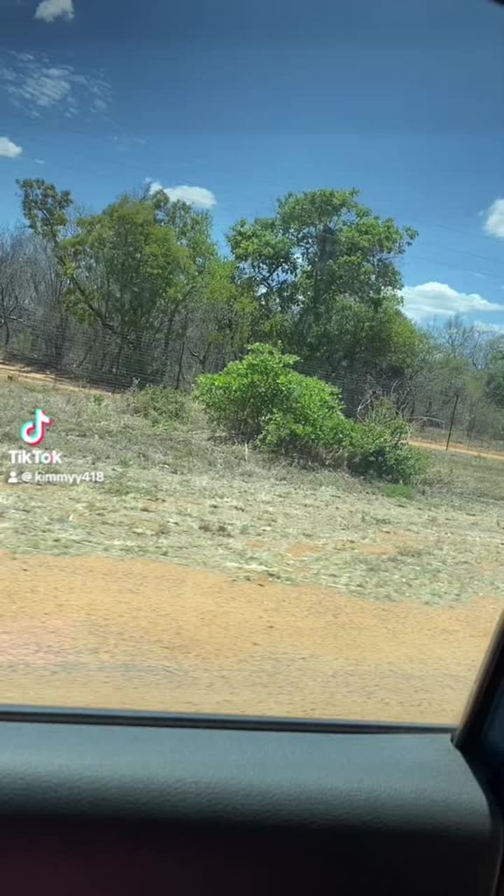 Zebula Game Reserve, Golf Course & Spa