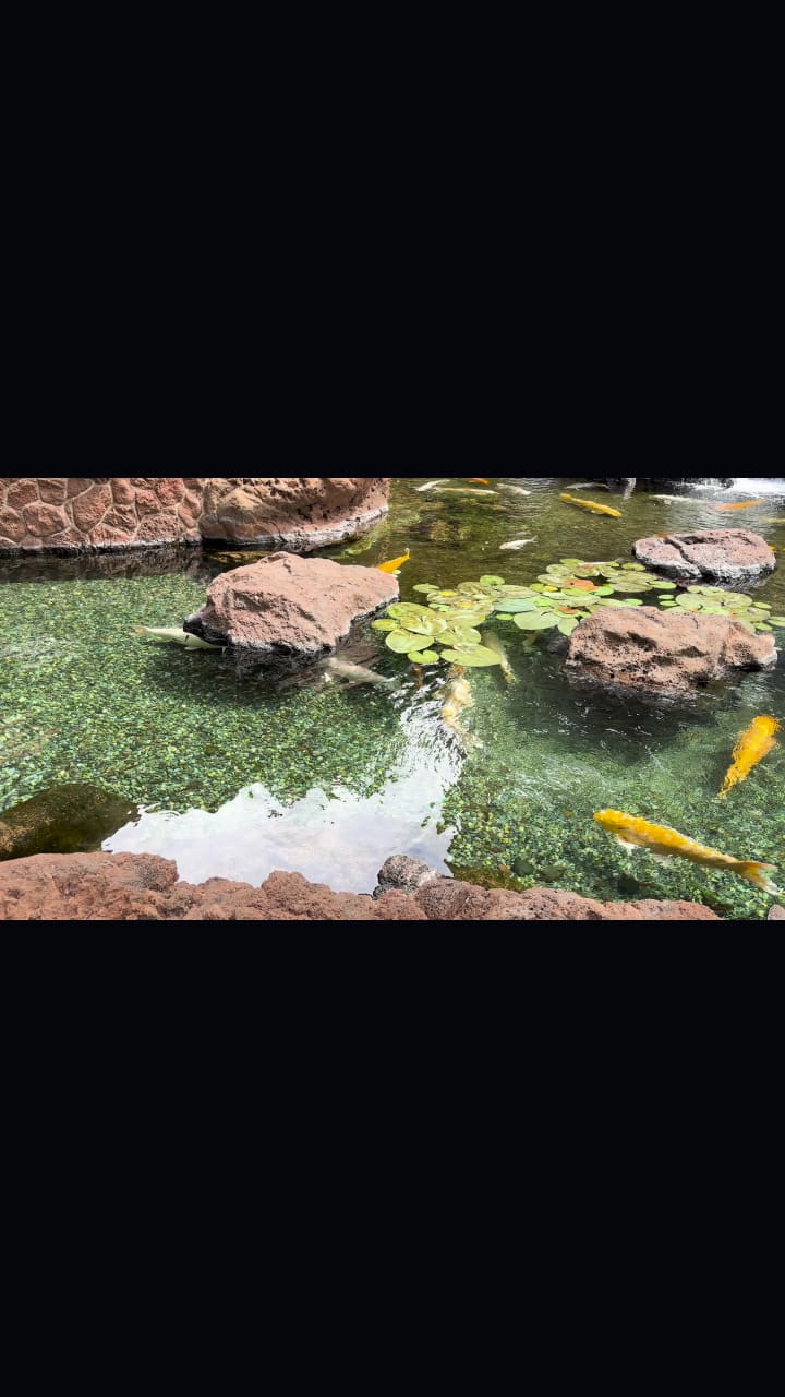 Aulani, A Disney Resort & Spa