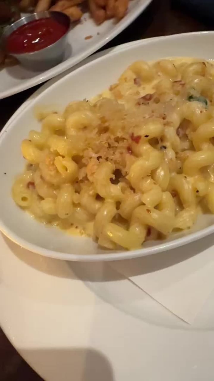 Video review of CIRCA at Clarendon