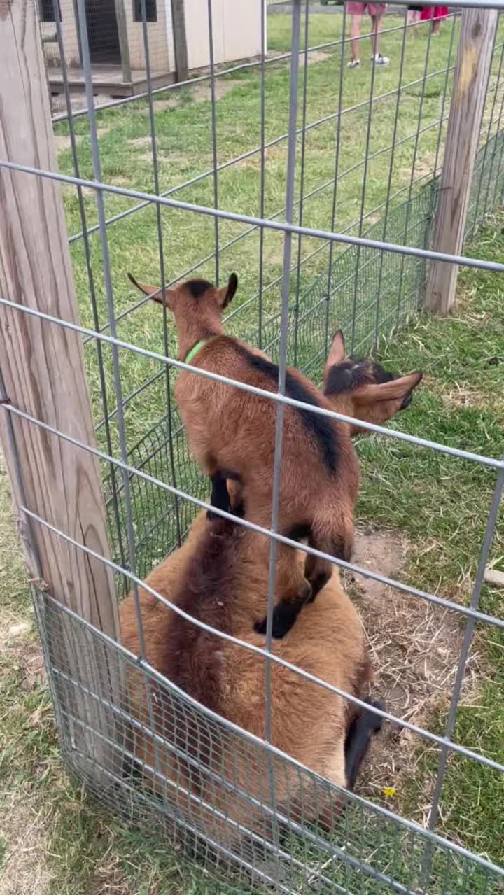 Video review of Von Thun's Country Farm Market