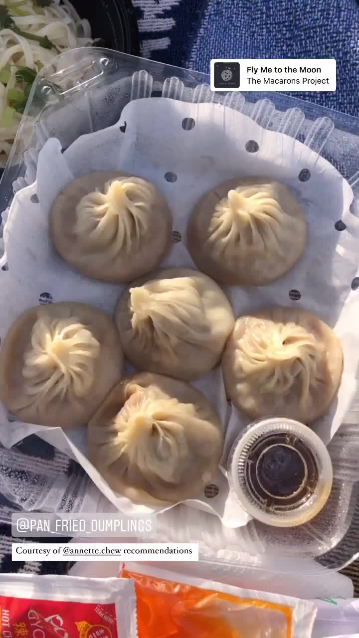 Pan Fried Dumplings