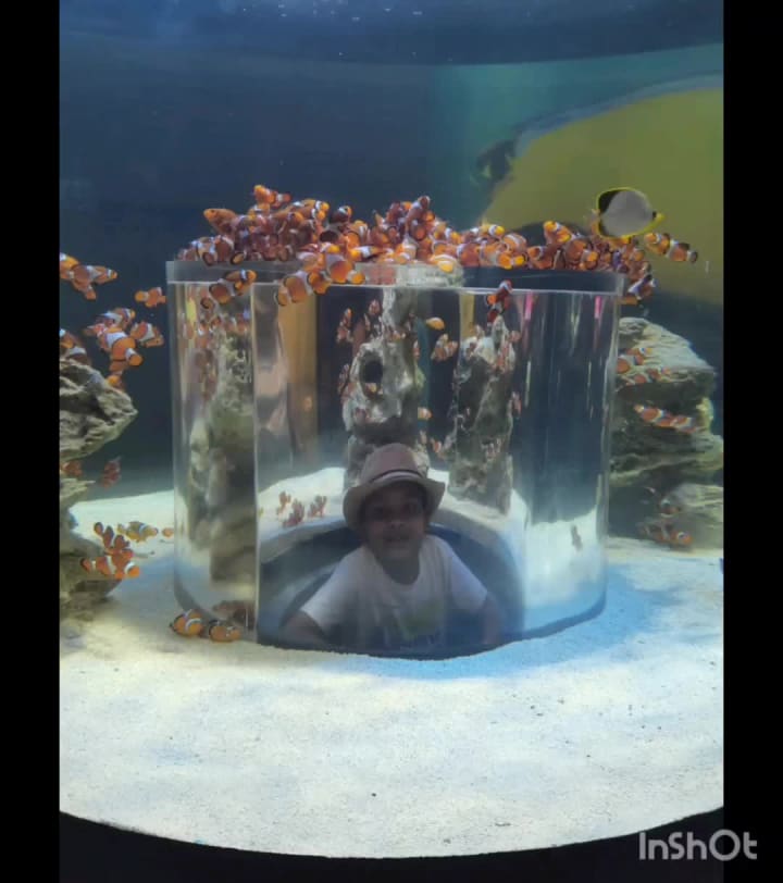 Two Oceans Aquarium