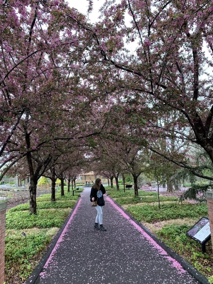 Ballpark Village St. Louis