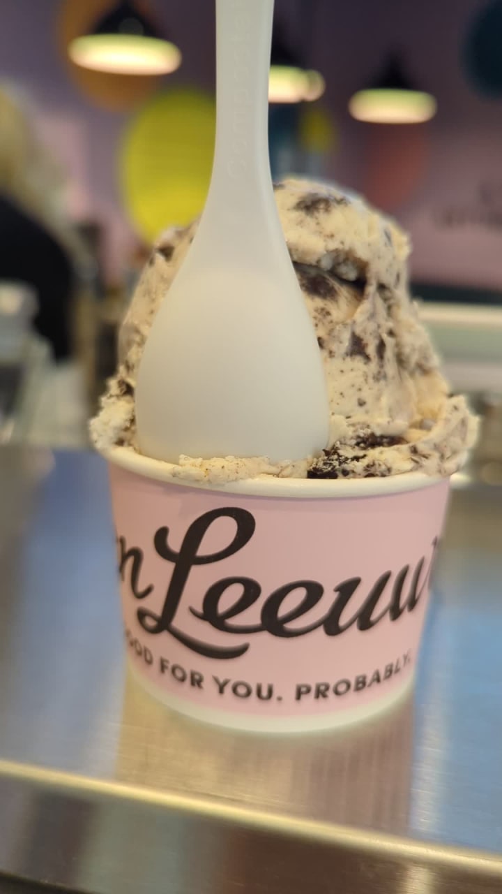 Video review of Van Leeuwen Ice Cream