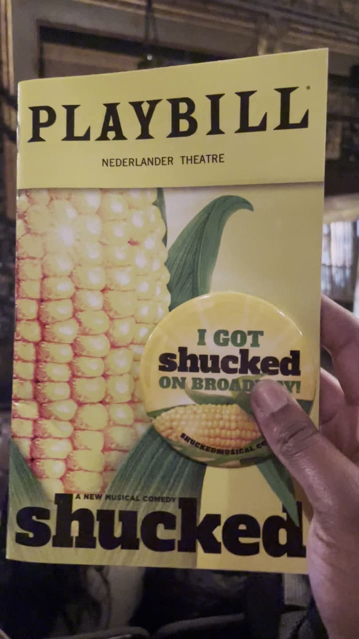 Video review of Nederlander Theatre