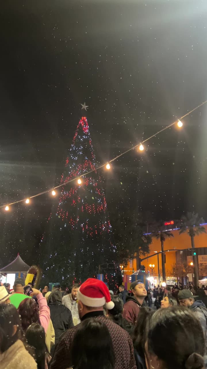Christmas In the Park