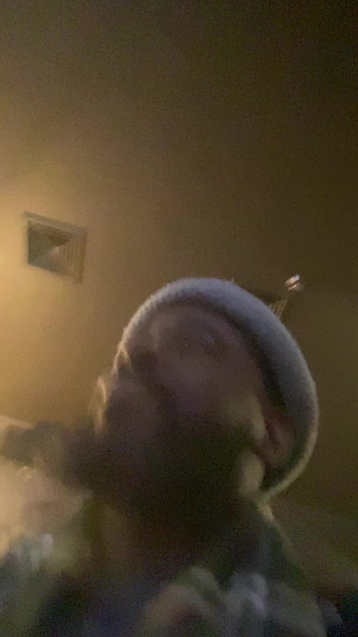 Video review of The Library