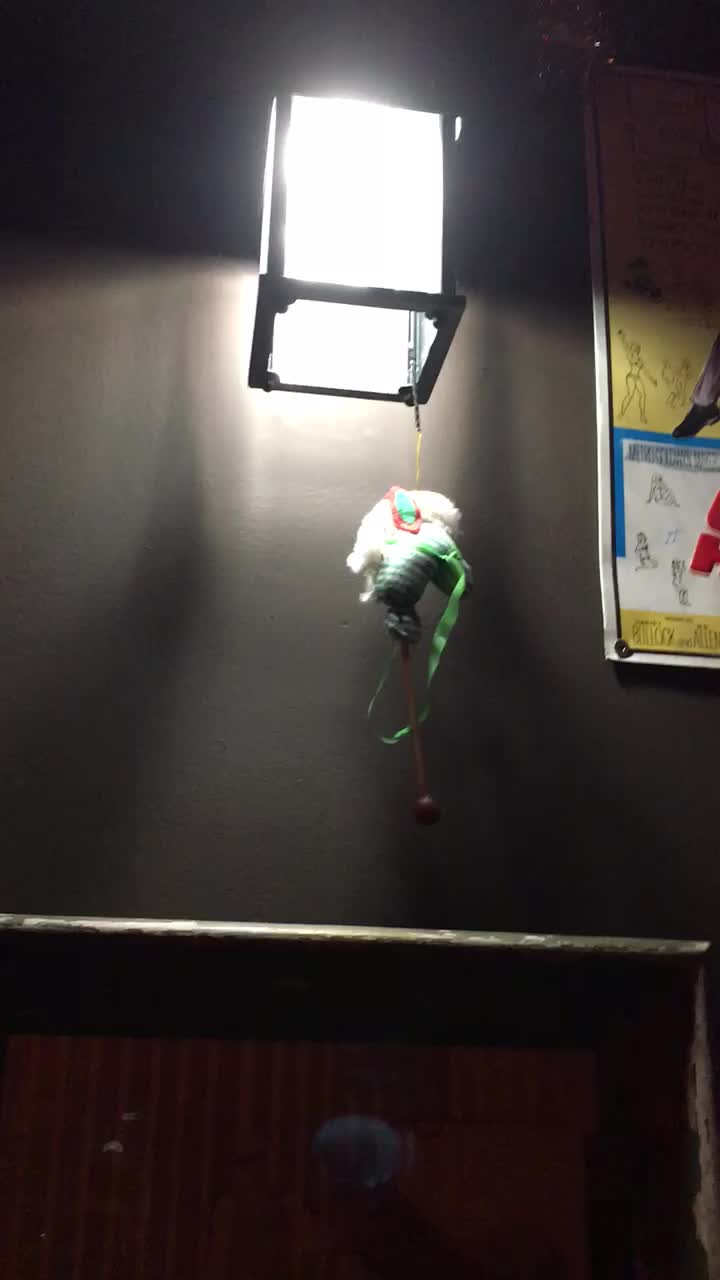 Video review of Doc's Clock