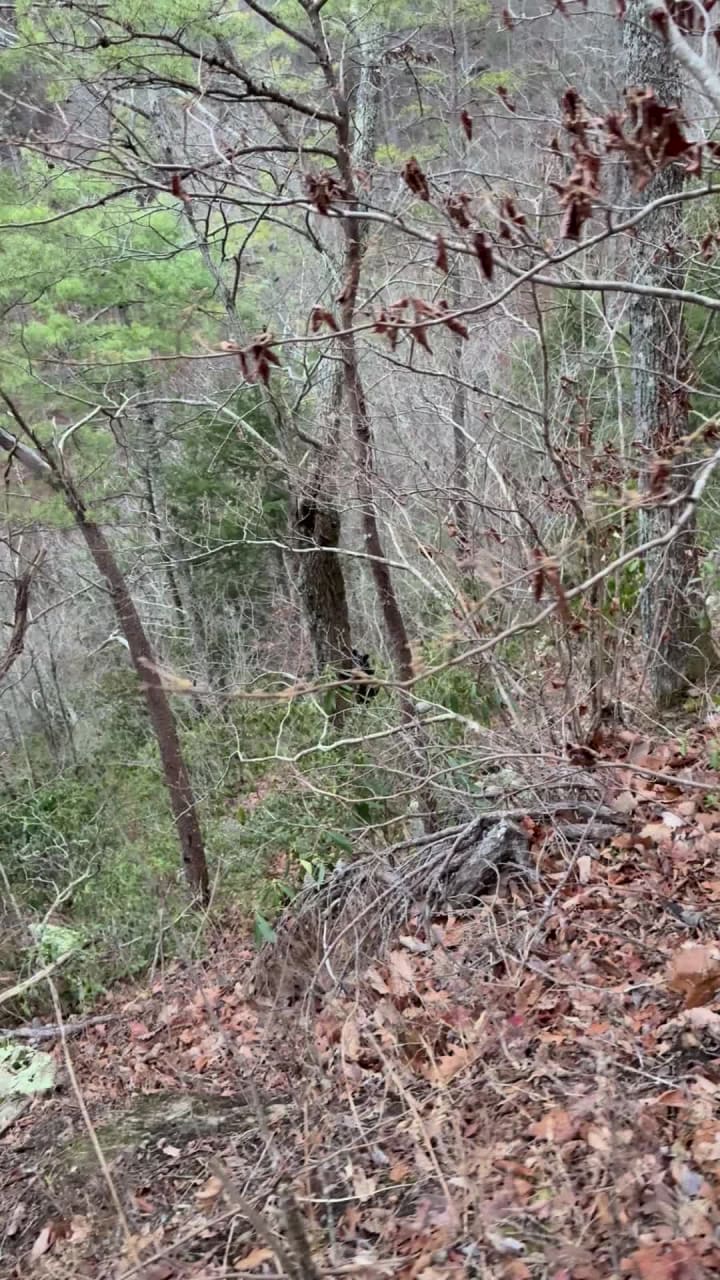 Video review of The All-New Ski Mountain Pizza