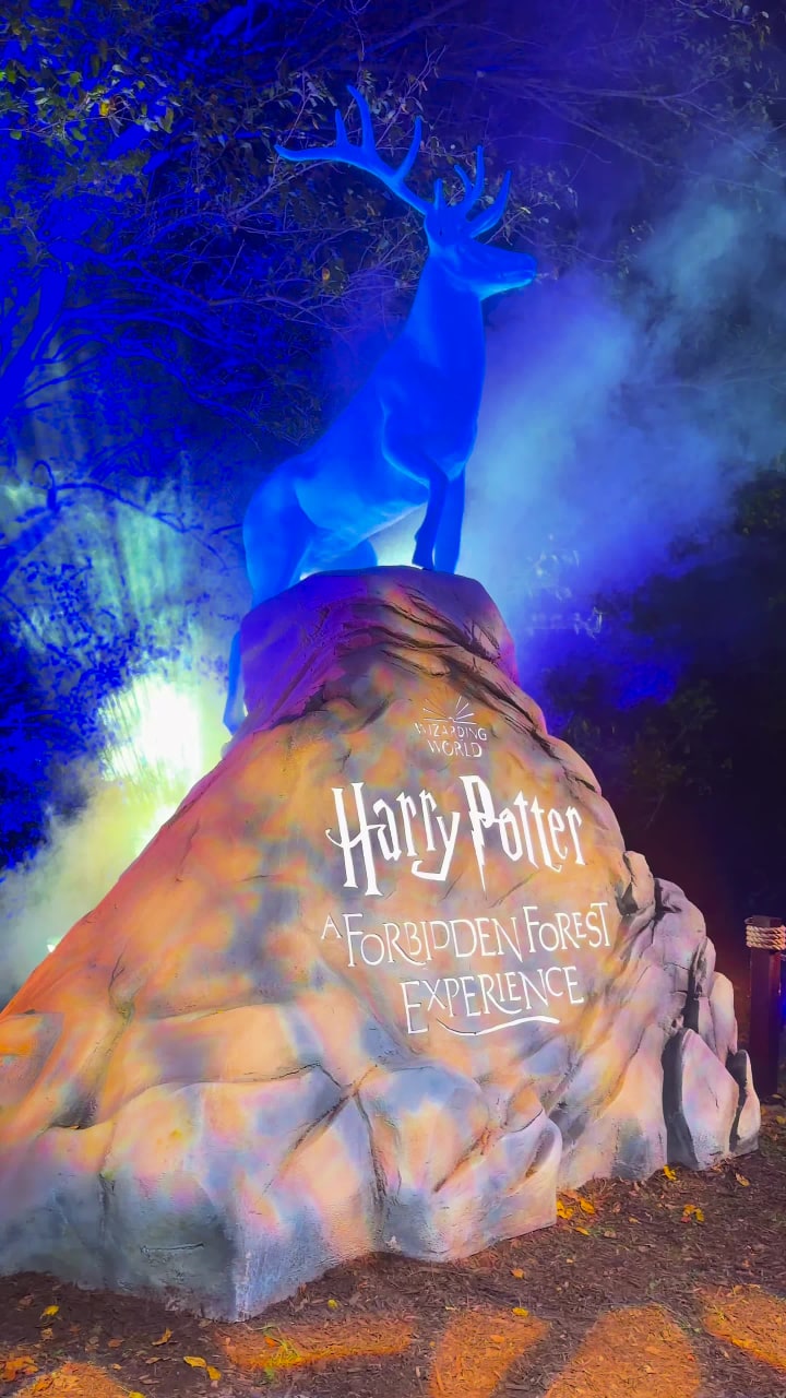 Harry Potter Forbidden Forest