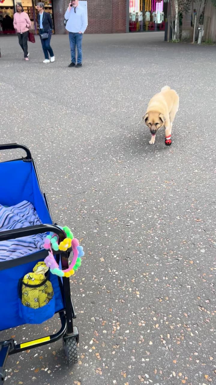 Video review of Tate Modern