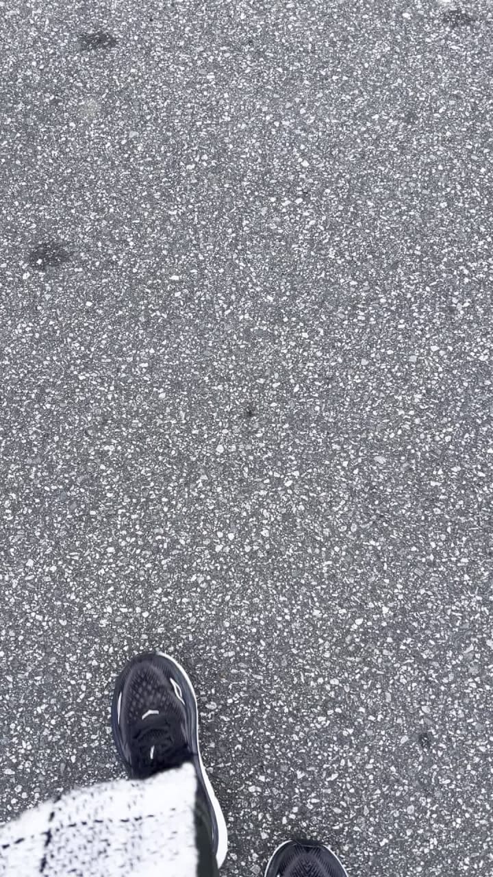 Video review of Trader Joe's