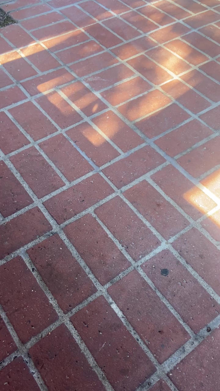 Video review of The Old Spaghetti Factory