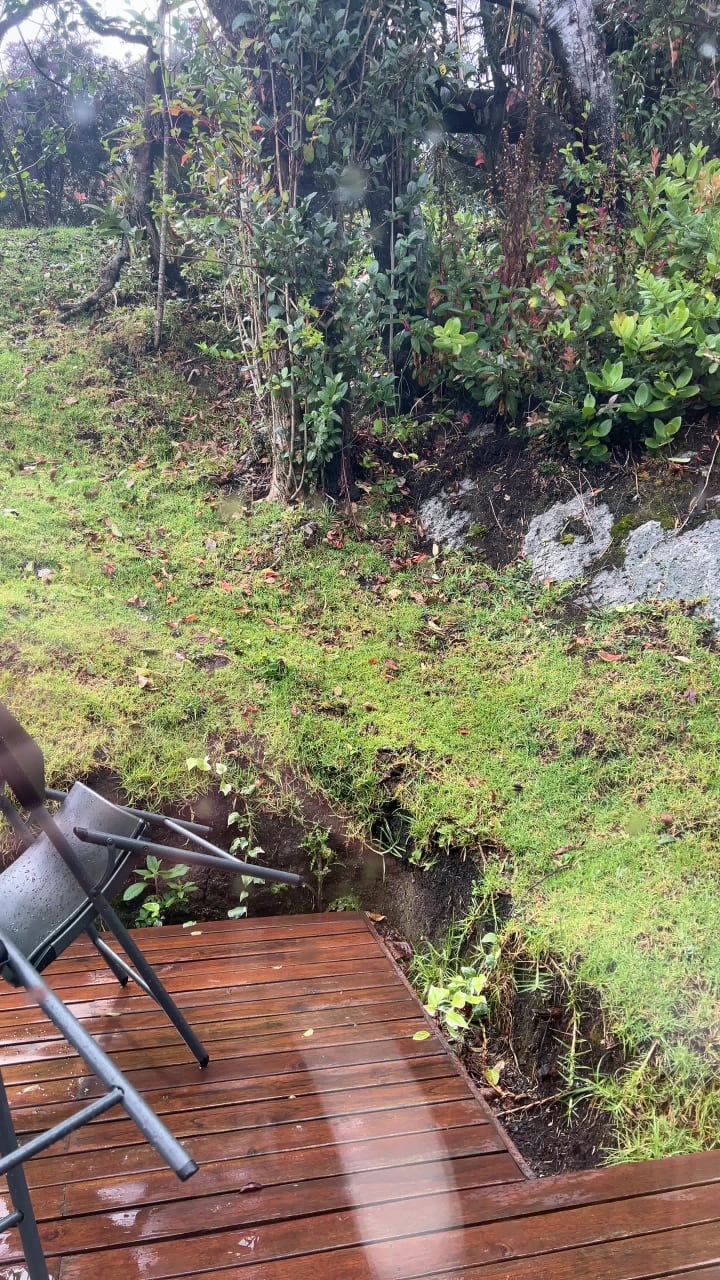 Bosque de la Pradera