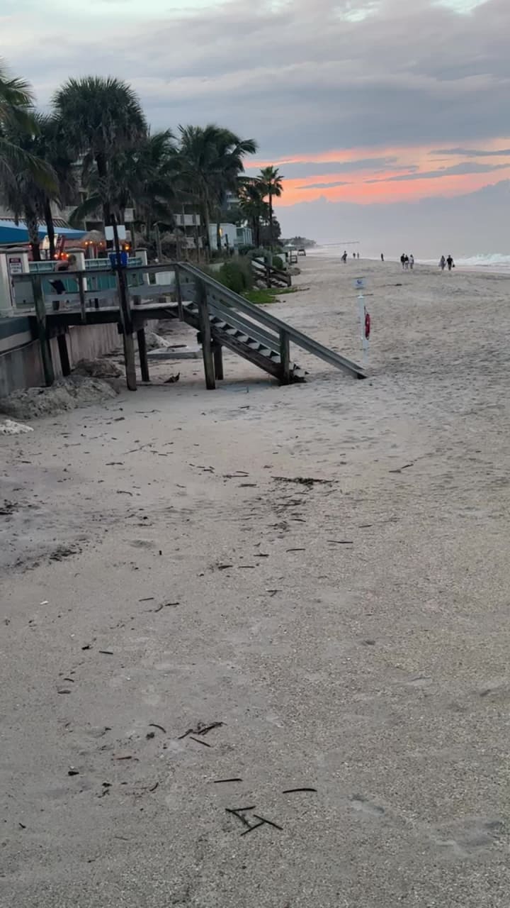 Video review of The Lemon Tree