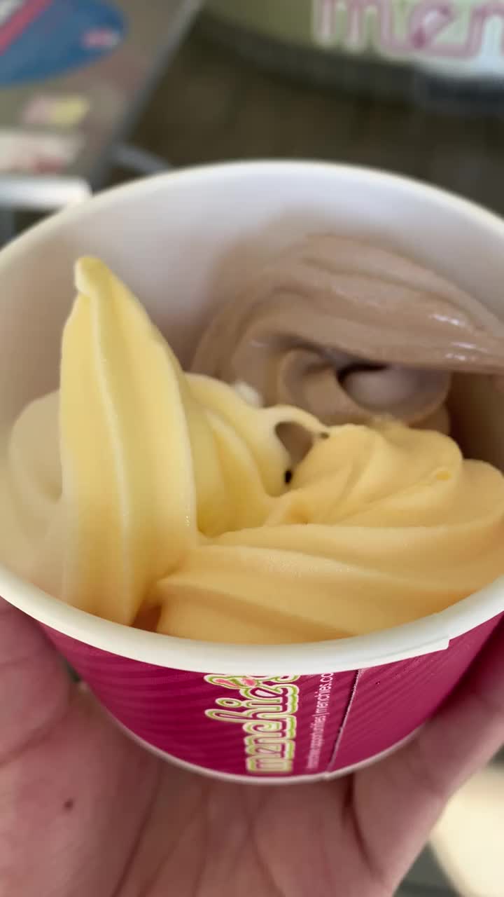 Menchie's Frozen Yogurt
