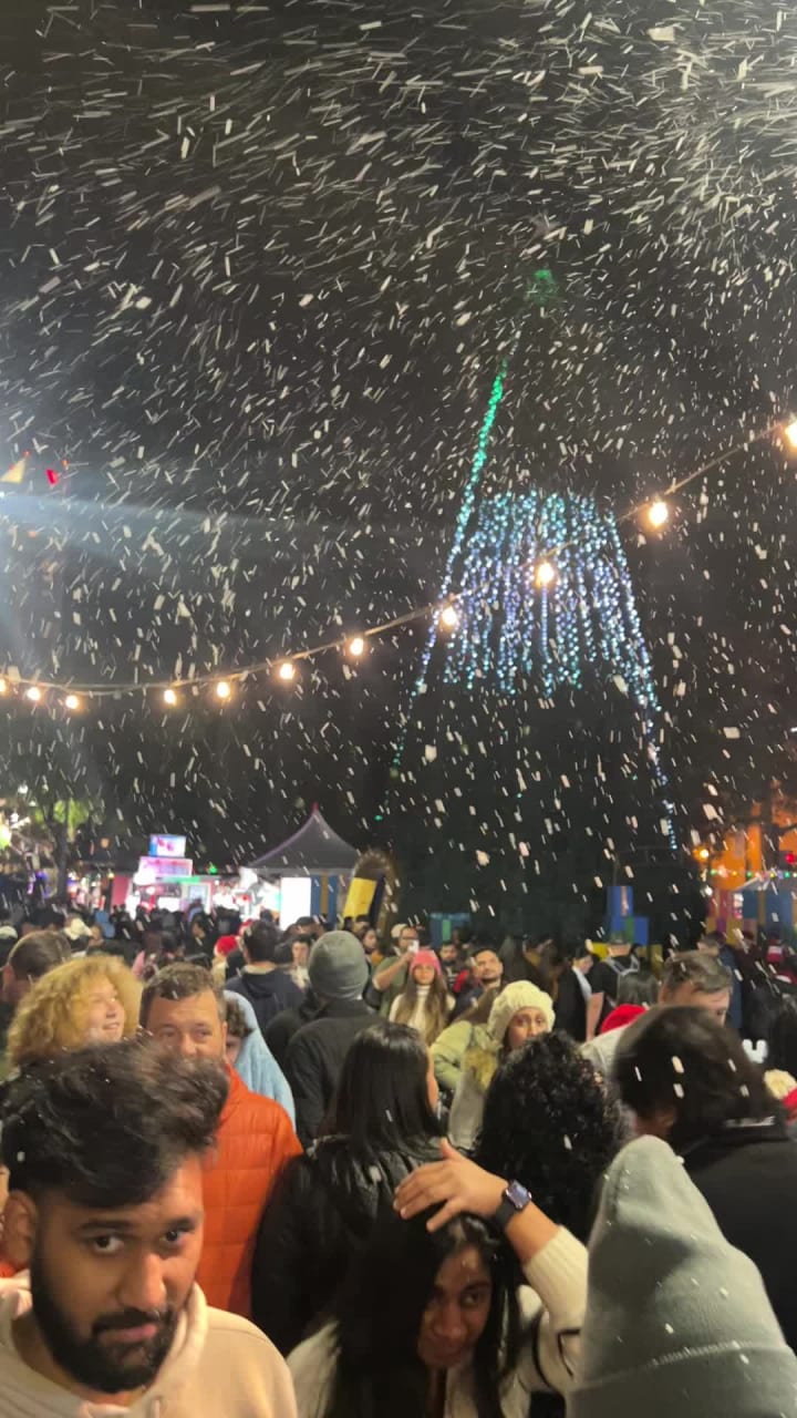 Christmas In the Park