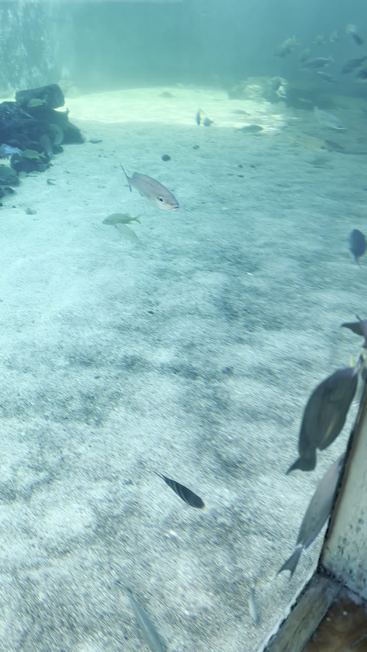 Acuario Mundo Marino