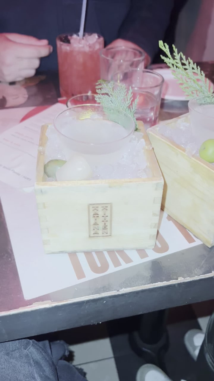 Video review of Katana Kitten