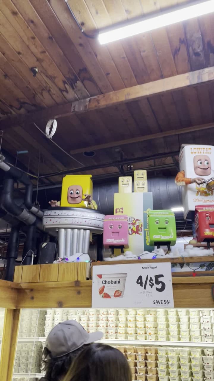 Video review of Stew Leonard's