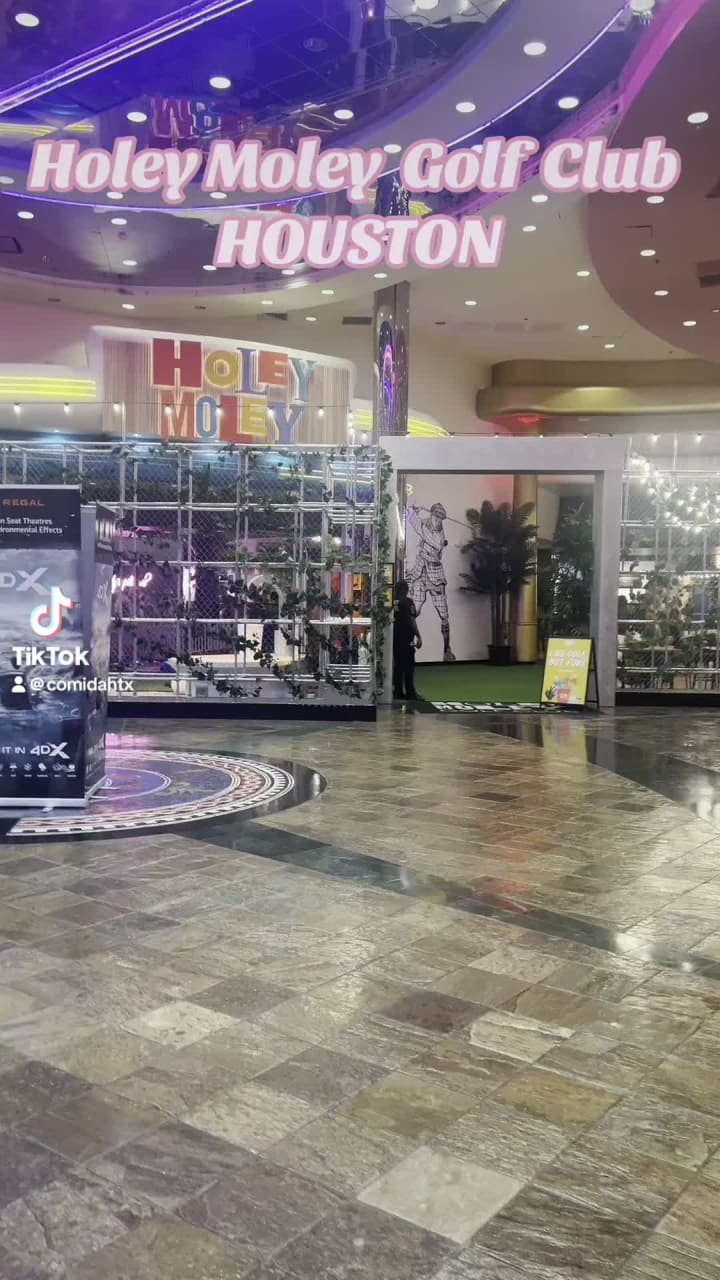 Holey Moley Golf Club Houston