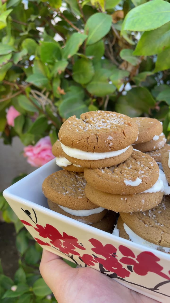 Video review of Trader Joe's