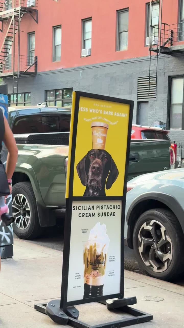 Video review of Van Leeuwen Ice Cream