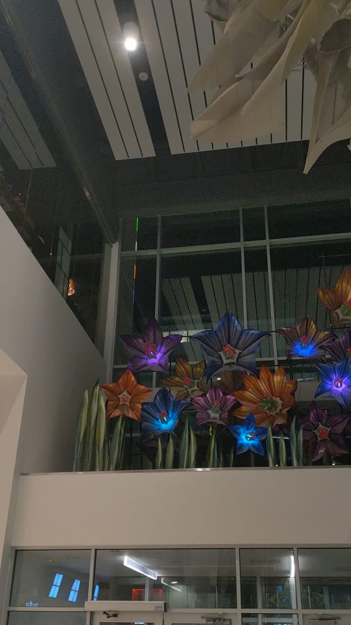 Video review of Chatime Downtown Markham 日出茶太