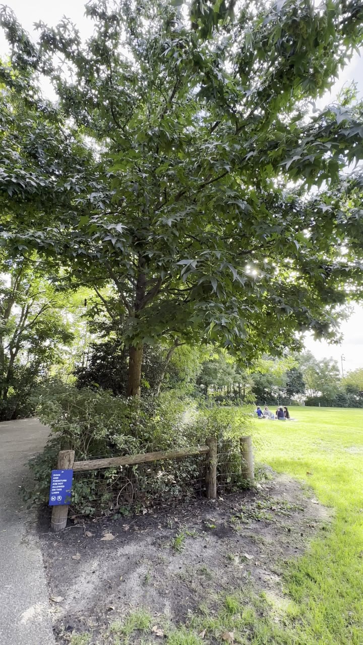 Video review of Brooklyn Bridge Park