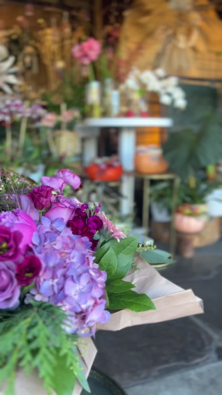 Hillsdale Shopping Center