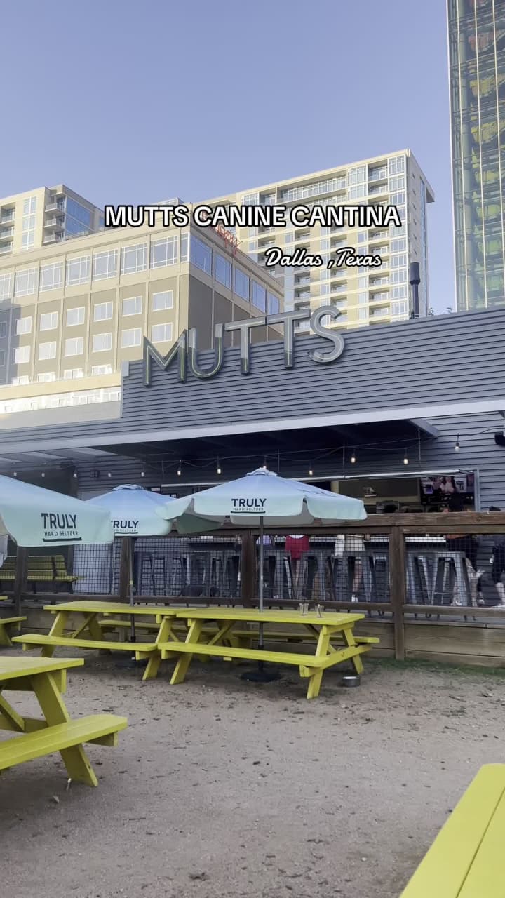 Video review of MUTTS Canine Cantina