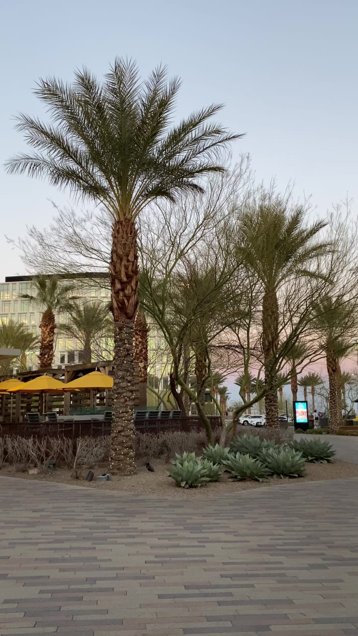 Video review of California Pizza Kitchen