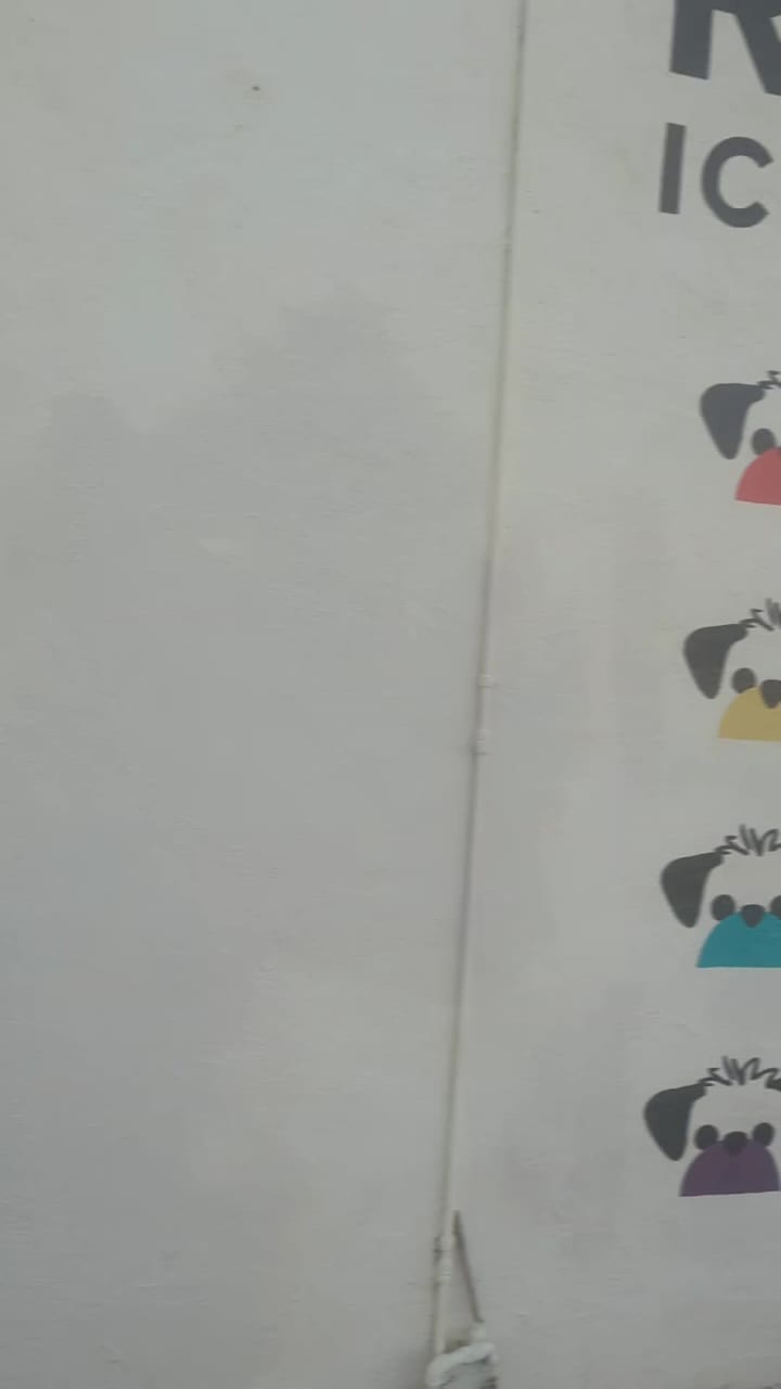 Rocko's Ice Cream Tacos