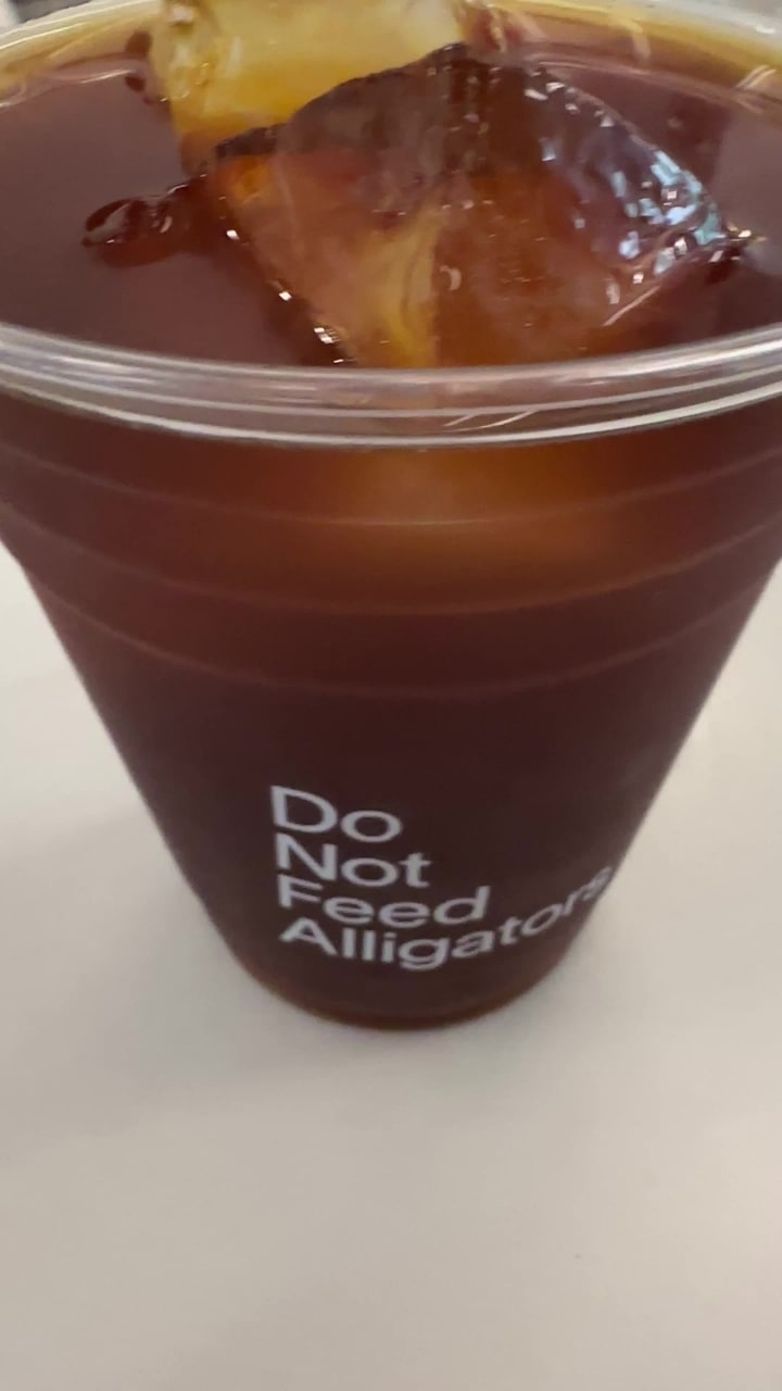 Video review of Do Not Feed Alligators