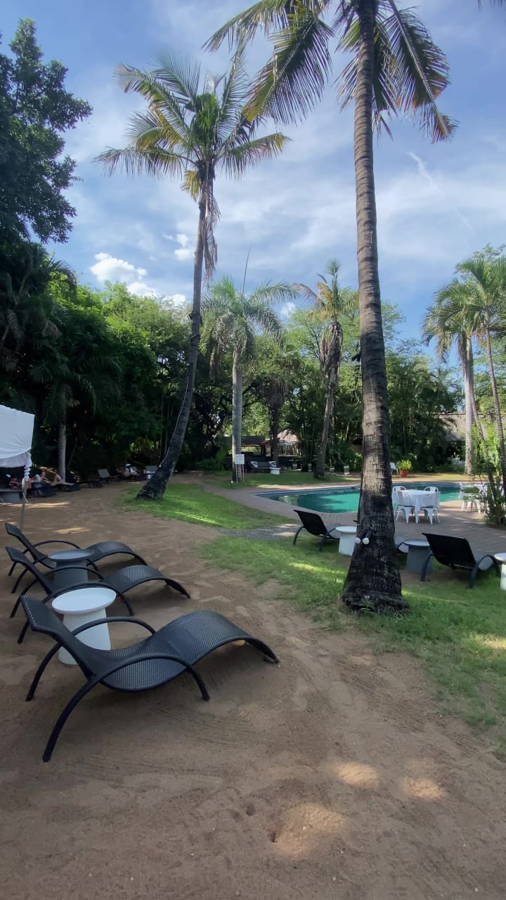 Sefapane Lodges & Safaris