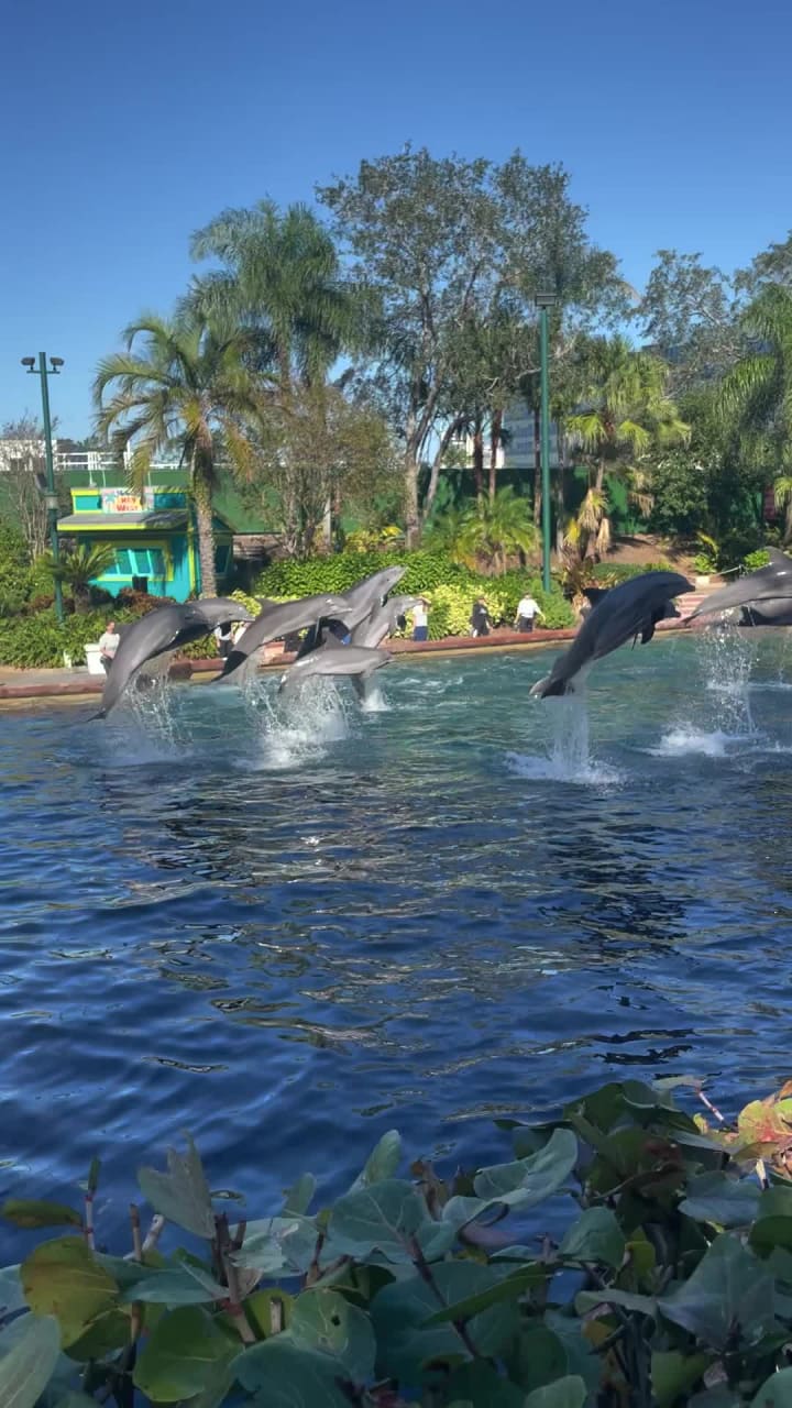 SeaWorld Orlando